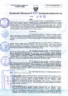 Vista preliminar de documento RD N°0119