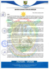 Vista preliminar de documento rgm480