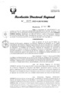 Vista preliminar de documento RDR Nº 3167-2023-GRSM-DRE