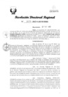 Vista preliminar de documento RDR Nº 3170-2023-GRSM-DRE