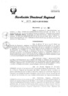 Vista preliminar de documento RDR Nº 3171-2023-GRSM-DRE