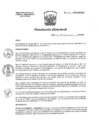 Vista preliminar de documento RD N° 223-2023-DG-HEAV