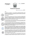 Vista preliminar de documento RD N° 224-2023-DG-HEAV