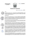 Vista preliminar de documento RD N° 225-2023-DG-HEAV