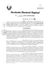 Vista preliminar de documento RDR Nº 3175-2023-GRSM-DRE