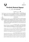 Vista preliminar de documento RDR Nº 3178-2023-GRSM-DRE