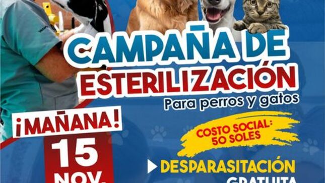 🐾GRAN CAMPAÑA DE ESTERILIZACIÓN DE MASCOTAS A COSTO SOCIAL Y DESPARASITACIÓN GRATUITA