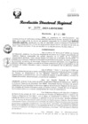 Vista preliminar de documento RDR Nº 3190-2023-GRSM-DRE