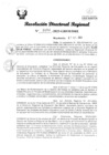 Vista preliminar de documento RDR Nº 3193-2023-GRSM-DRE