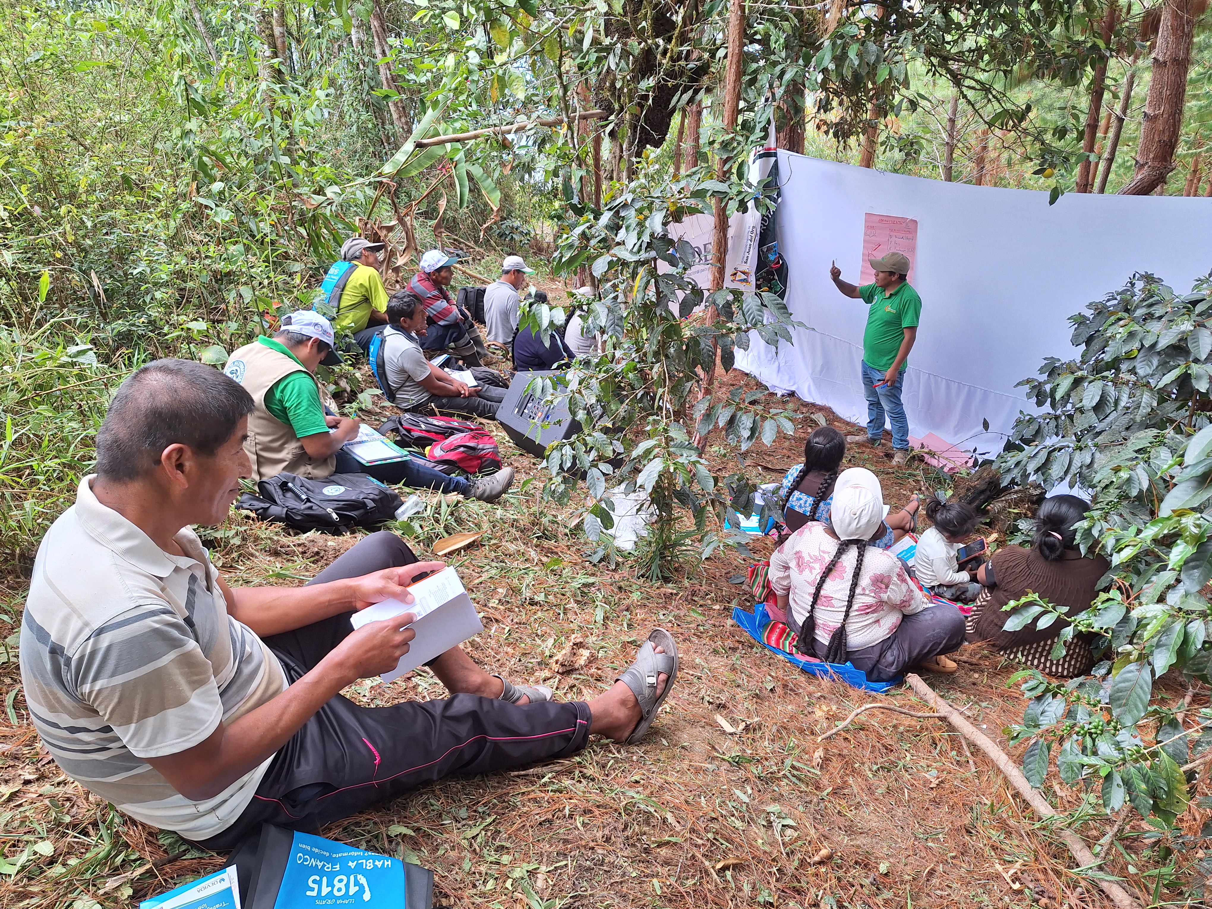 Puno: 1150 familias mejoran cultivos de café y frutas con Escuelas de Campo