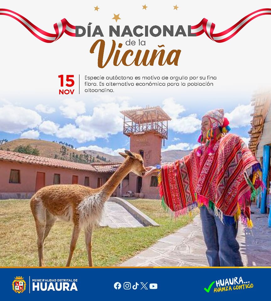DÍA NACIONAL DE LA VICUÑA
#15deNoviembre