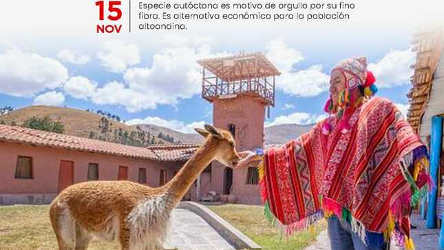 DÍA NACIONAL DE LA VICUÑA
#15deNoviembre