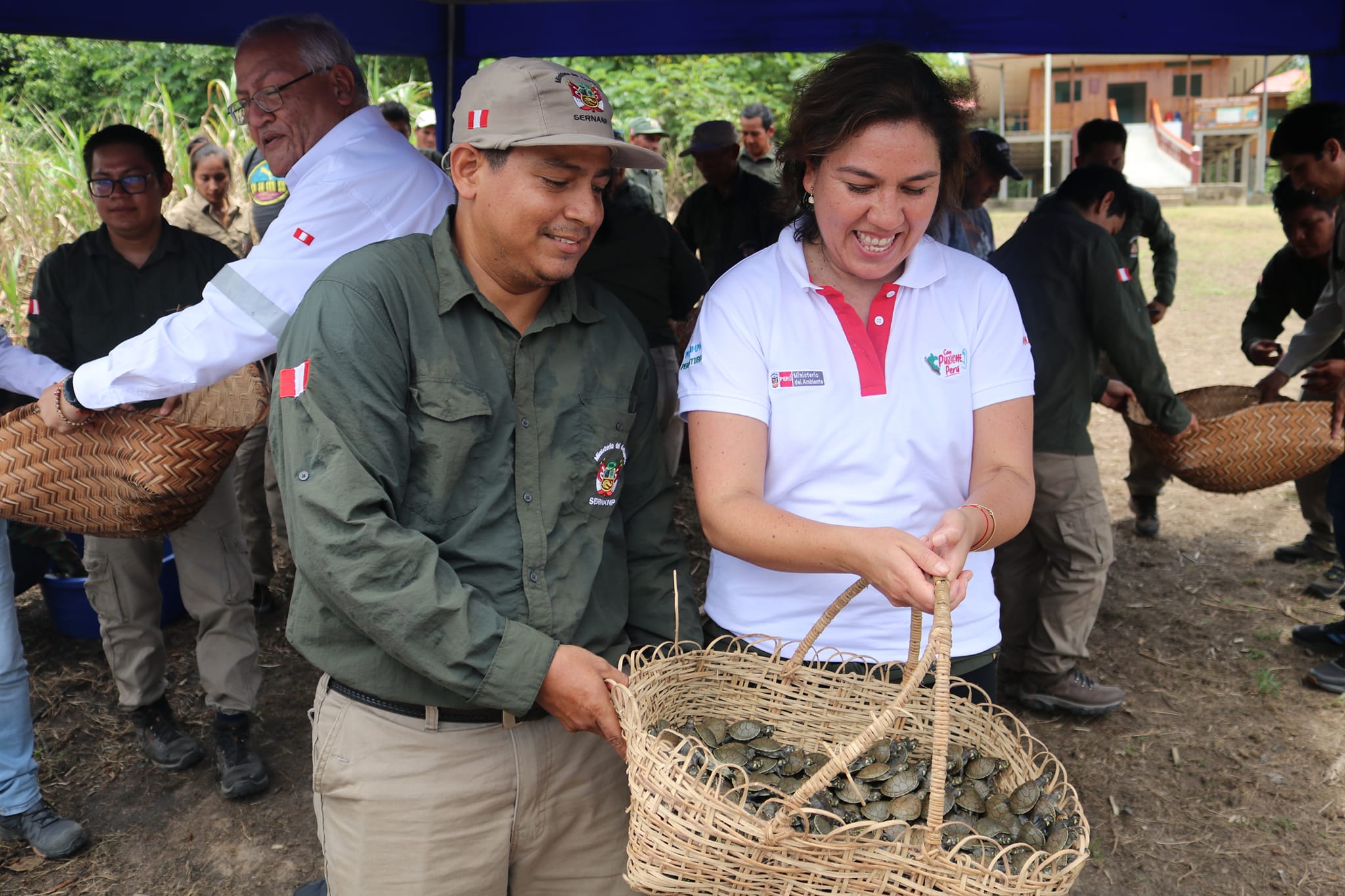 Liberación taricayas