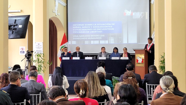 Presentación de “Informe sobre la situación de niñas, niños y adolescentes cuyas madres se encuentran privadas de libertad: una mirada desde los derechos humanos”