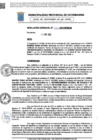 Vista preliminar de documento Resolucion Gerencial 916 QR