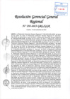 Vista preliminar de documento RGGR  292-2023-GRL-GGR