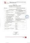 Vista preliminar de documento REQUERIMIENTO Nº 010-2023-SBPM-MDD-GG-GPS