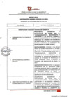 Vista preliminar de documento INFORME  Nª 100-2023-SBPM-MDD-GG-GAF-SFD