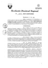 Vista preliminar de documento RDR Nº 3263-2023-GRSM-DRE