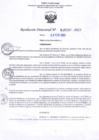 Vista preliminar de documento RD Nº000337 