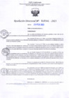 Vista preliminar de documento RD Nº000341 