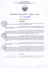 Vista preliminar de documento RD Nº000350