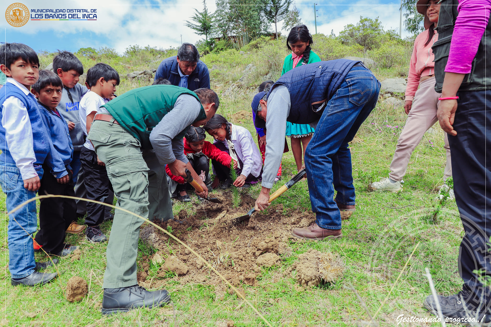 Plantación de cinco mil árboles de Pino y Alisos en Los Baños del Inca