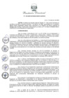 Vista preliminar de documento RESOLUCIÓN DIRECTORAL N° 020-2020-VIVIENDA-VMCS-DGPRCS