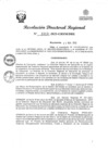 Vista preliminar de documento RDR Nº 3313-2023-GRSM-DRE