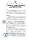 Vista preliminar de documento Resolución de Consejo Universitario