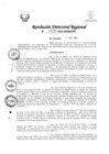 Vista preliminar de documento RDR Nº 3358-2023-GRSM-DRE