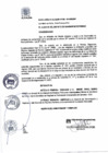 Vista preliminar de documento RA 030-2019