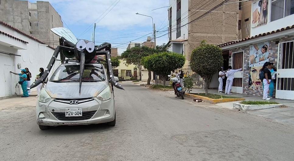 Encuentran Huevos, pupas y larvas del zancudo del dengue en Los Parques