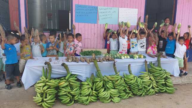 alimentos frescos