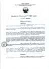 Vista preliminar de documento RD- 1387