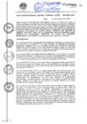 Vista preliminar de documento RGG N880