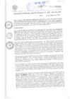 Vista preliminar de documento RGG N889