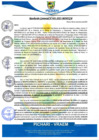 Vista preliminar de documento rgm481