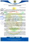 Vista preliminar de documento rgm487