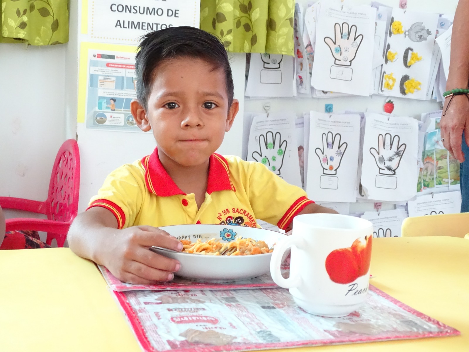Supervisión servicio alimentario escolar