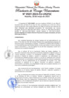 Vista preliminar de documento Resolución de Consejo Universitario