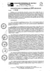 Vista preliminar de documento RER0534-2023