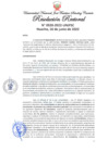 Vista preliminar de documento Resolución Rectoral