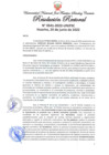 Vista preliminar de documento Resolución Rectoral