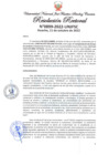 Vista preliminar de documento Resolución Rectoral