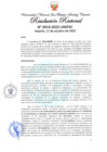 Vista preliminar de documento Resolución Rectoral