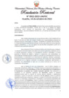 Vista preliminar de documento Resolución Rectoral