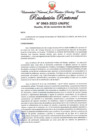 Vista preliminar de documento Resolución Rectoral