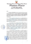Vista preliminar de documento Resolución Rectoral