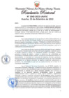 Vista preliminar de documento Resolución Rectoral